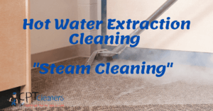 Steam Cleaning