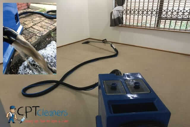 Carpet Cleaning 